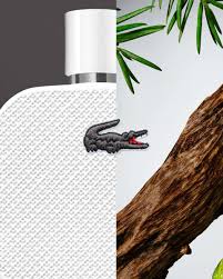 لاگوست سفید 20 میل  Lacoste L 12 Blanch