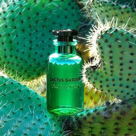 کاکتوس گاردن لویی ویتون   20 میل  Louis Vuitton Cactus Garden