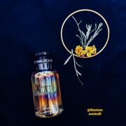 ال وی لاورز لویی ویتون Louise Vuitton LVloverse